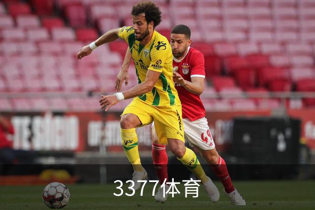 关于3377体育